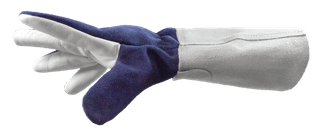 BÜFFEL 7
