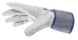 ANATOMIC ECO I