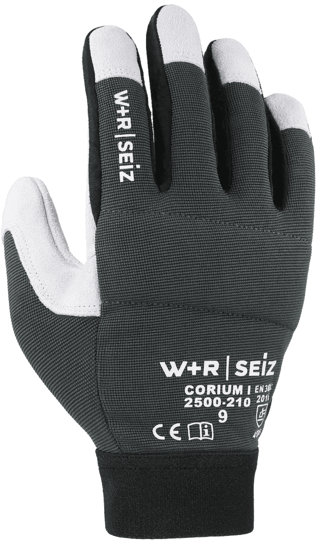 CORIUM 2500-210