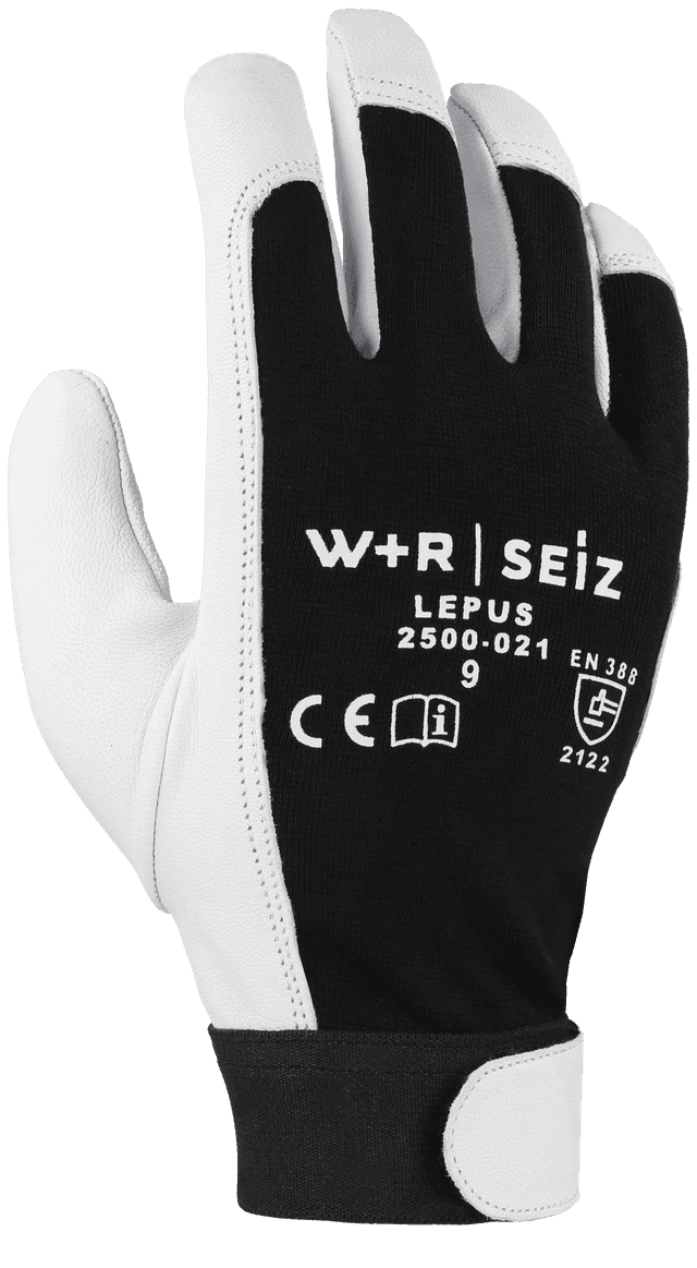 LEPUS